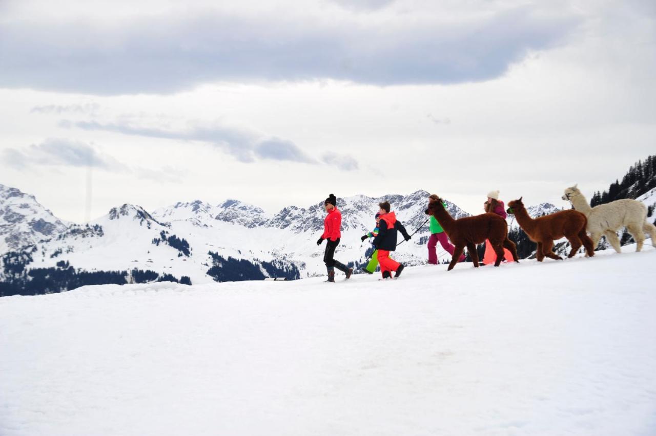 Alpenresort Walsertal ダーミュルス エクステリア 写真